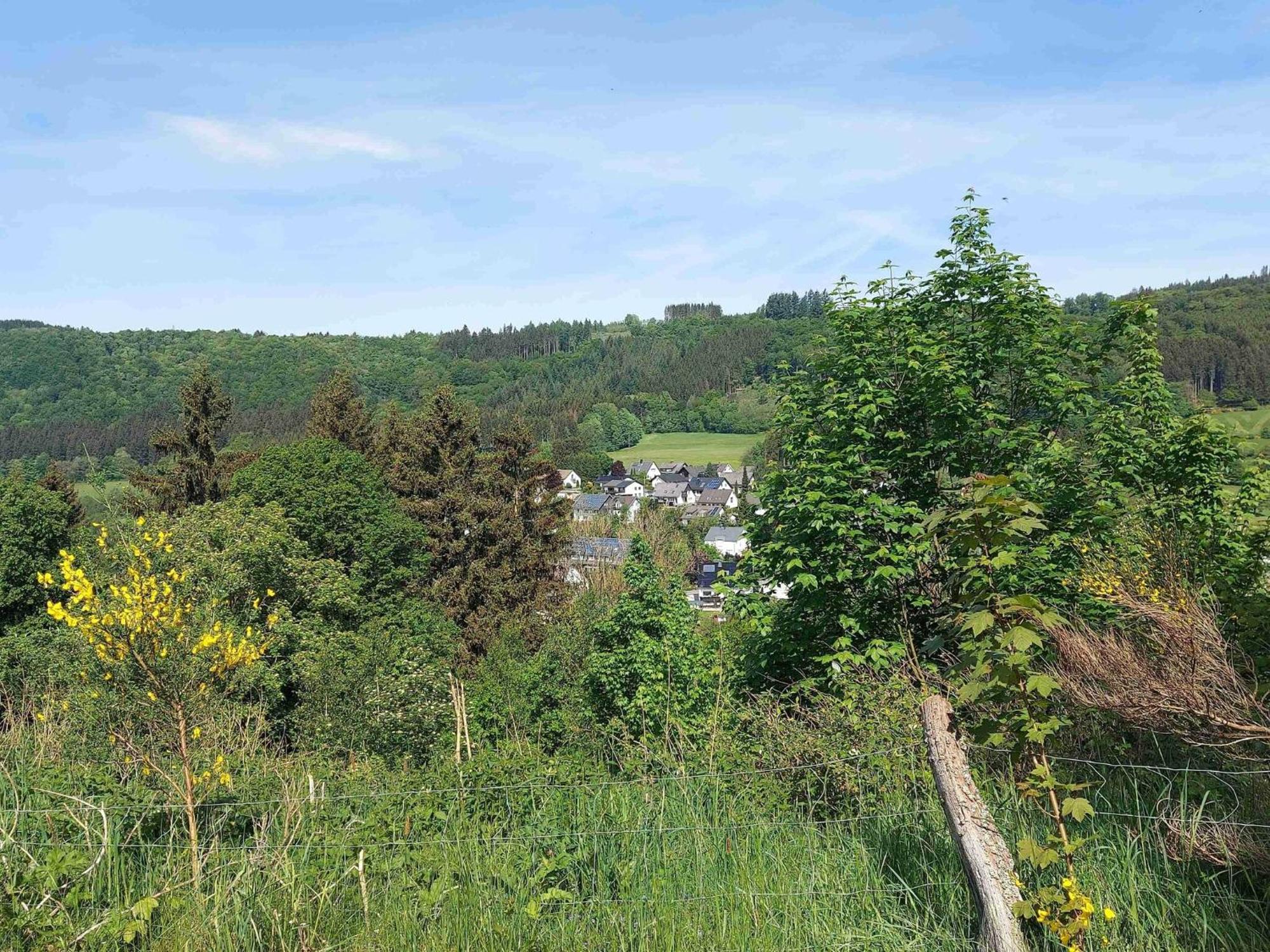 Holiday Apartment With Terrace In Winterberg Exteriér fotografie
